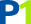 P1.max-240x80