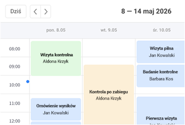 Grafiki, wizyty i organizacja pracy zespołu